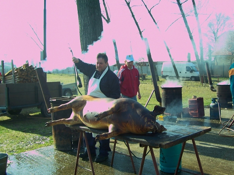 Zabíjačkový festival - Böllérfesztivál 2012