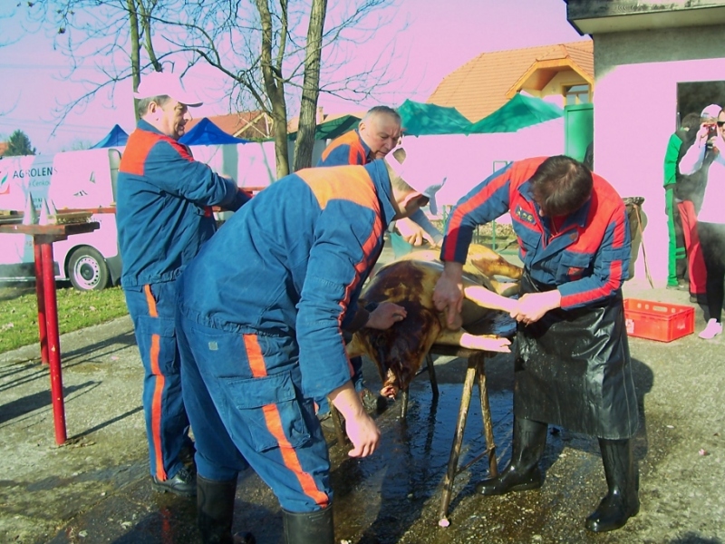 Zabíjačkový festival - Böllérfesztivál 2012