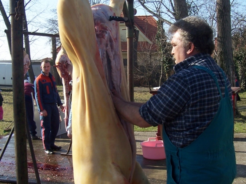 Zabíjačkový festival - Böllérfesztivál 2012