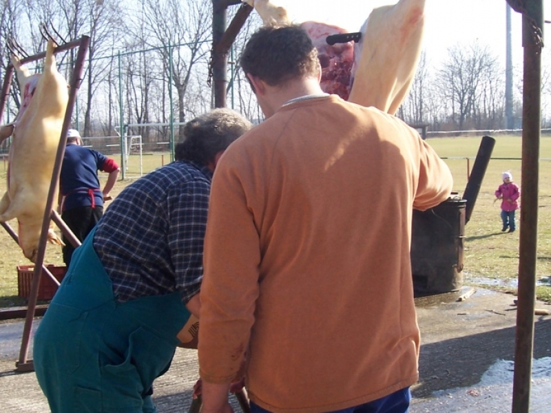 Zabíjačkový festival - Böllérfesztivál 2012