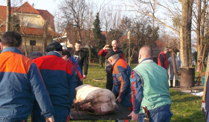 Zobraziť fotografiu
