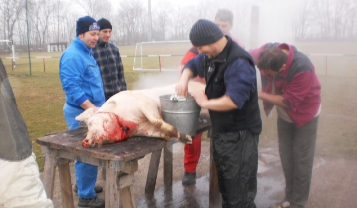 Zobraziť fotografiu