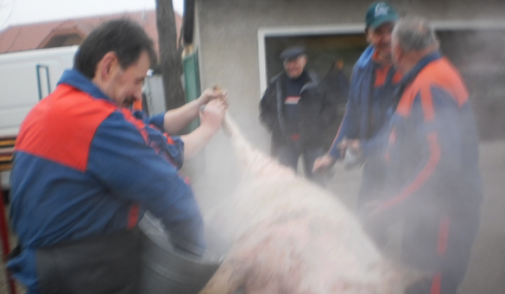 Zobraziť fotografiu
