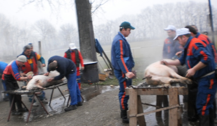 Zobraziť fotografiu