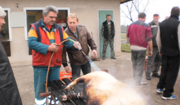 Zobraziť fotografiu