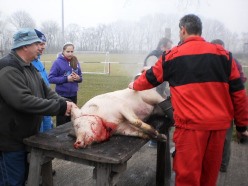 Zabíjačkový festival - Böllérfesztivál 2013