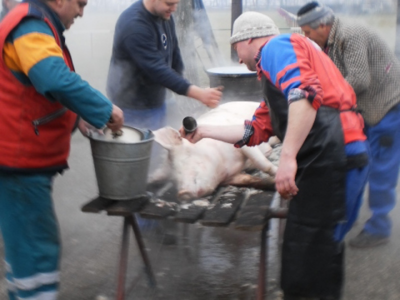 Zabíjačkový festival - Böllérfesztivál 2013