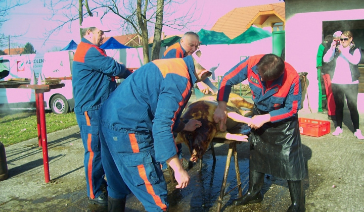 Zobraziť fotografiu