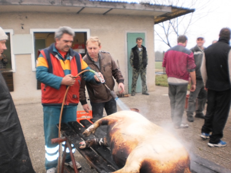 Zabíjačkový festival - Böllérfesztivál 2013