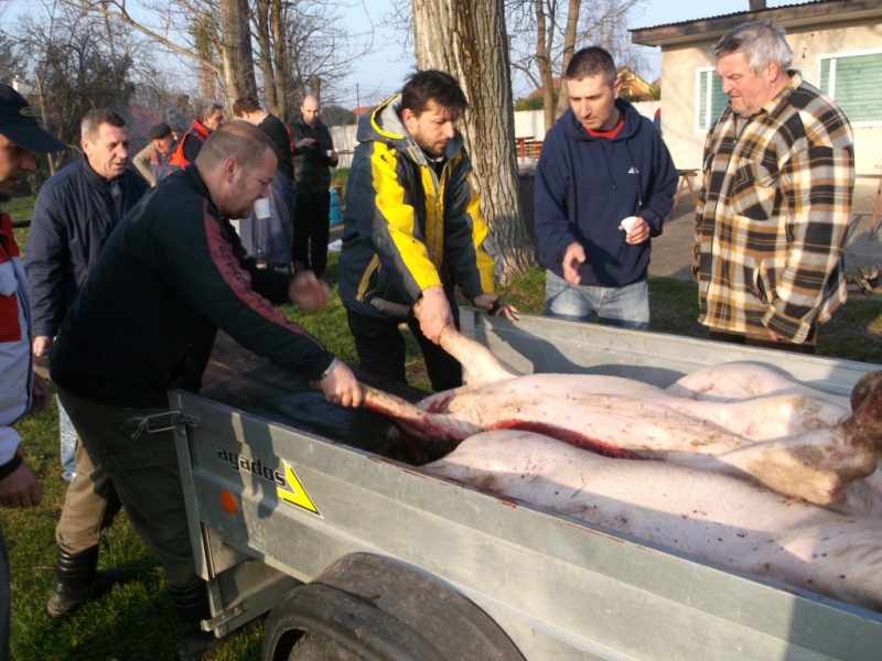 Zabíjačkový festival - Böllérfesztivál  2014