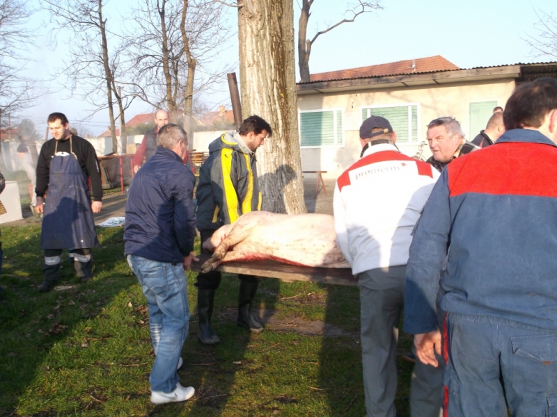 Zabíjačkový festival - Böllérfesztivál  2014