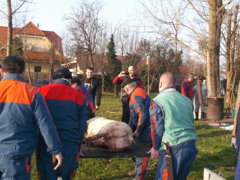 Zabíjačkový festival - Böllérfesztivál  2014