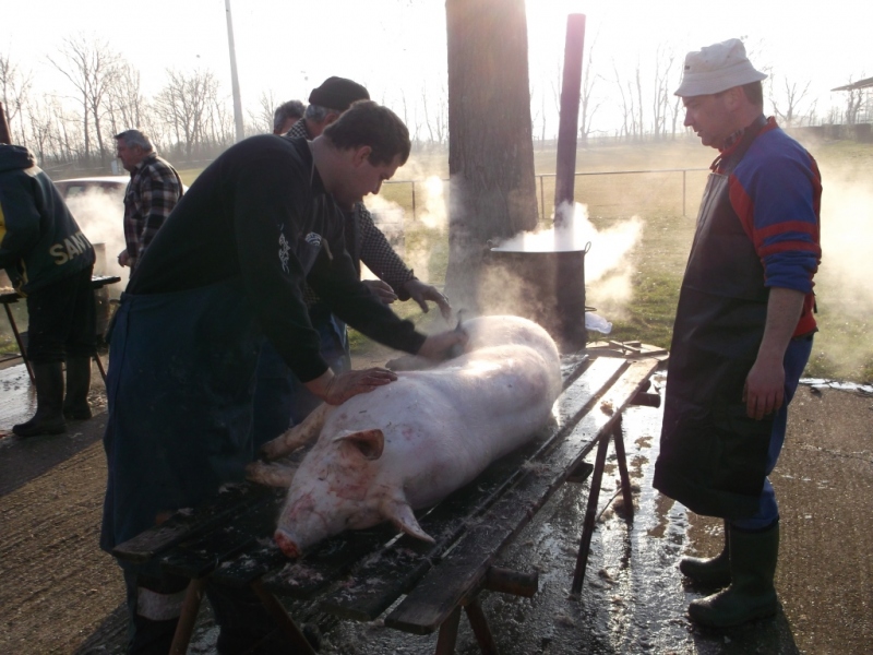 Zabíjačkový festival - Böllérfesztivál  2014