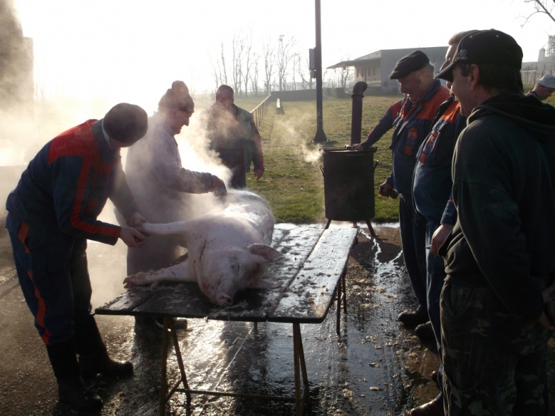 Zabíjačkový festival - Böllérfesztivál  2014