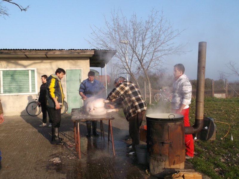 Zabíjačkový festival - Böllérfesztivál  2014