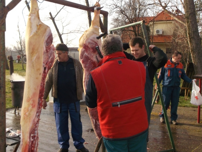 Zabíjačkový festival - Böllérfesztivál  2014